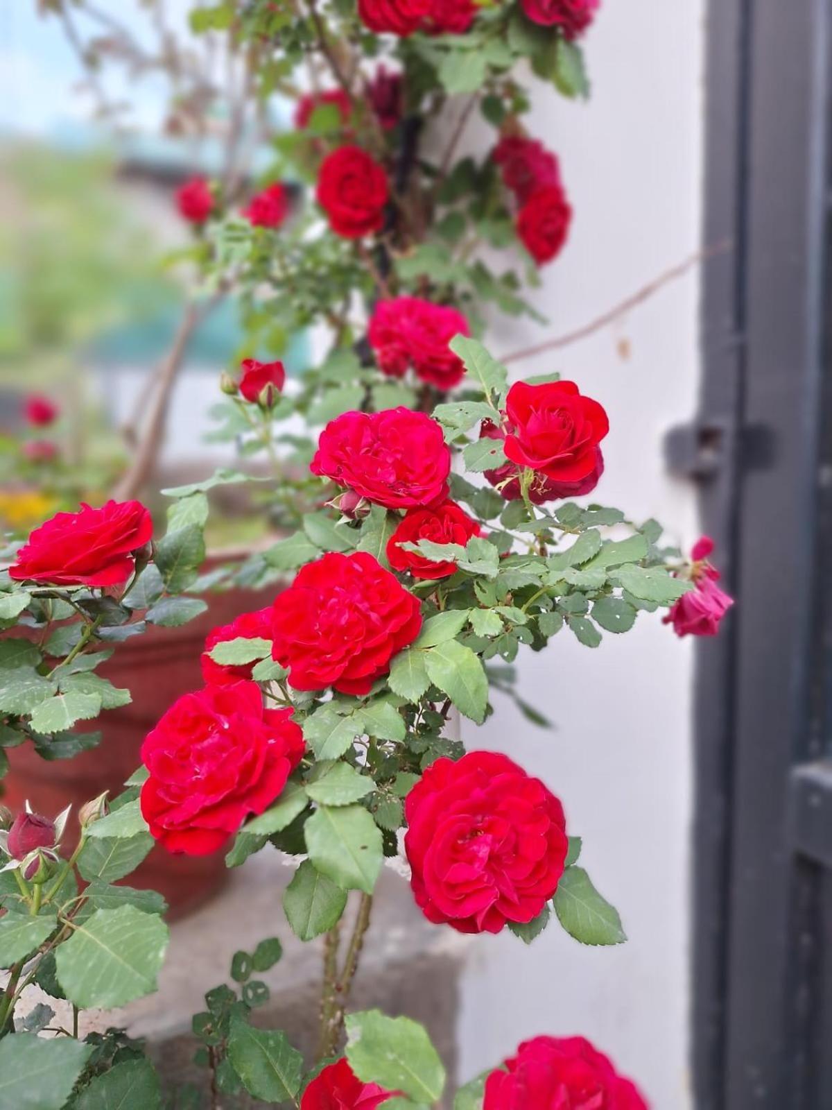 Bīr La Maison - A Boutique Bed And Breakfast المظهر الخارجي الصورة